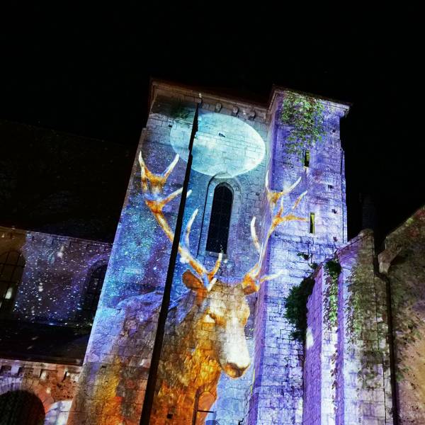 Chartres en lumières