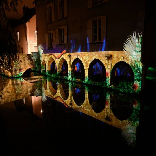 Chartres en lumières